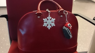 Kokooukseen saavutaan teeman mukaisesta asustettuna