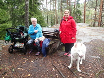 Koska tiedottaja ei osannut lukea oma tekemiään saapumisohjeita päätyivät tiedottaja ja jäsensihteeri Luukkiin Hauklammen rannalle. Tälläisiä maisemia siellä.