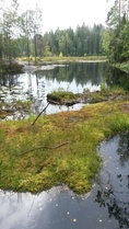 Nuuksion Haukkalampi
