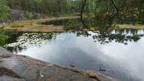 Nuuksion Haukkalampi