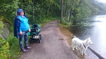 Koska tiedottaja ei osannut lukea oma tekemiään saapumisohjeita päätyivät tiedottaja ja jäsensihteeri Luukkiin Hauklammen rannalle. Tälläisiä maisemia siellä.